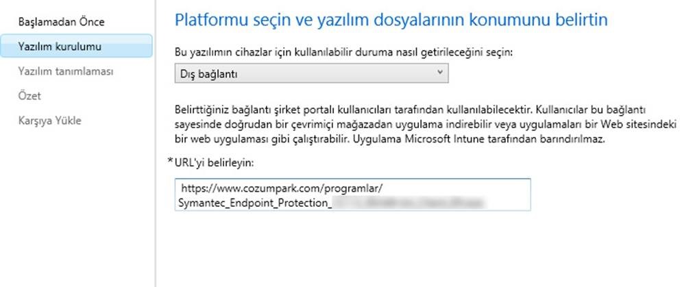 clip_image009
