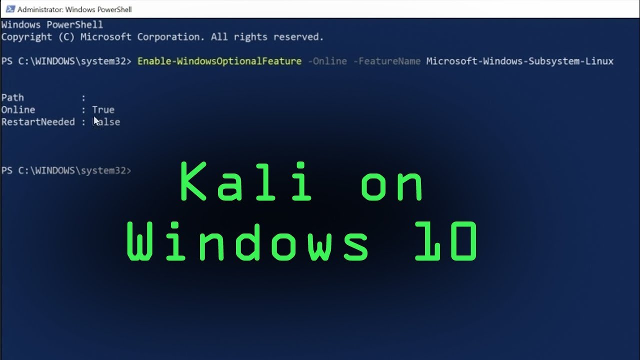 Windows 10 Pro Üzerinde Kali Linux Kurulumu