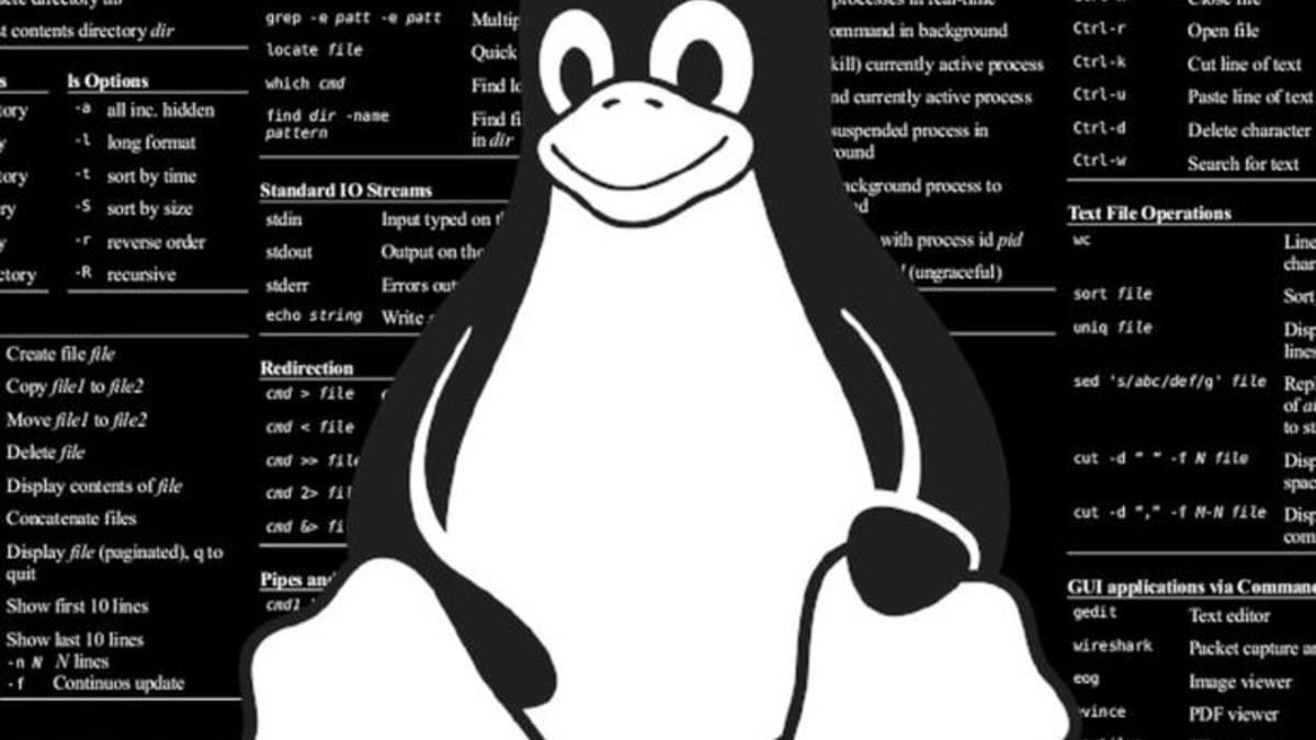 Linux Hero Kritik Zafiyetler Linux Sistemlerde Risk Oluşturuyor - ÇözümPark