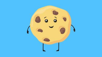cookies nedir