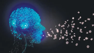 Türkiye Yapay Zekâ Yolculuğunda Hangi Konumda? Stanford 2025 Raporu Analizi Açıklandı