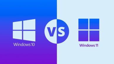 Windows 11, 2025’te Kullanıcılar Arasında Daha Popüler Hale Geliyor