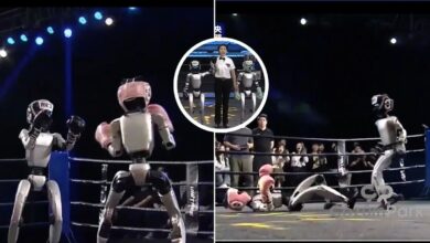 Dünyanın İlk İnsansı Robot Boks Turnuvası Çin’de Gerçekleştirildi