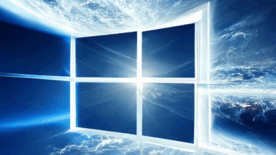 Windows 11 ve 10 İçin Geliştirilen Özelleştirme Aracı Winhance Uygulaması Yenilendi