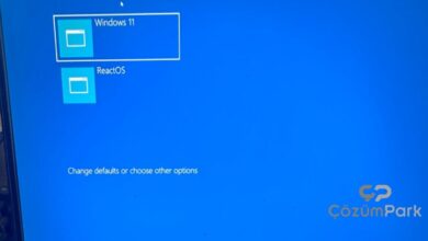 Açık Kaynak Windows Alternatifi ReactOS, Windows 95'in Efsane Oyunu Tam Ekran Çalıştırabiliyor