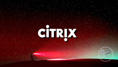 Citrix NetScaler ve Gateway Cihazları Bleed 2 Tehdidi Altında