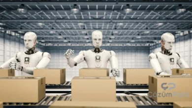 Türkiye’de 2030 Yılına Kadar 200 Bin Robot Fabrikalarda Görev Alabilir