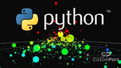 Python Geliştirici Rehberi 2025: Öne Çıkan Yetenekler, Araçlar ve Kariyer Önerileri
