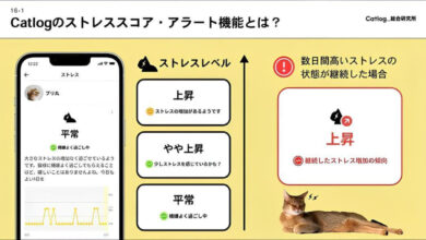 Japon Şirketi Kedilerin Stres Seviyesini Ölçen Akıllı Tasma Geliştirdi