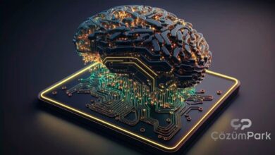 Kültürel Miras Siteleri Yapay Zekâ için Veri Toplayan Botların Baskısı Altında