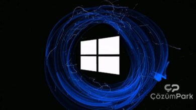 Windows 11