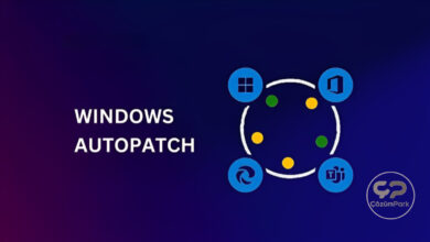 Windows Autopatch'te Rol Tabanlı Erişim Kontrolü (RBAC) Nasıl Yapılandırılır