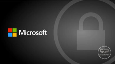 13 Yaşındaki Bir Dâhi Microsoft Ürünlerinin Güvenliğini Geliştirdi