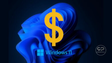 Sahte Windows Yeniden Yükleme Uygulaması Kullanıcıyı Kilitliyor