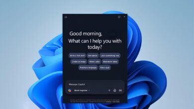 Windows 11 ve 10’da Copilot Artık Yerel Dosyaları Arayabiliyor