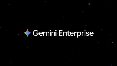 gemini enterprise fiyat