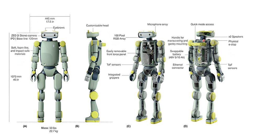 Yumuşak İnsansı Robot Sprout Robotik Dünyasında Güvenlik Standartlarını Değiştiriyor