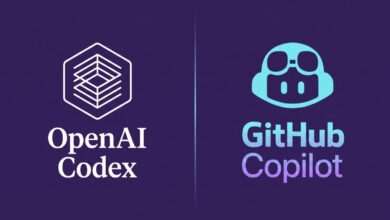 openai codex nedir