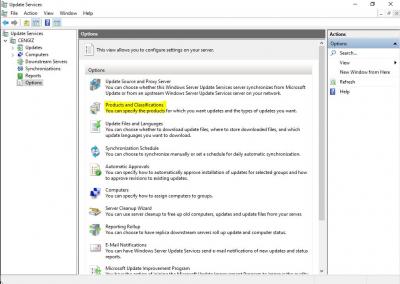 wsus 1