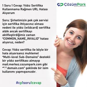 1soru1cevap v50