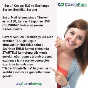 1soru1cevap v56