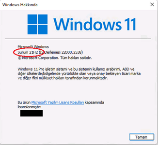 Win11 Win11