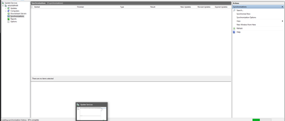 Wsus   Synchronization Error