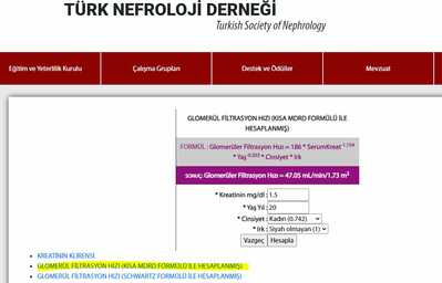 Ekran Alıntısı